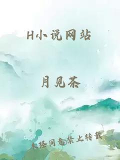 H小说网站