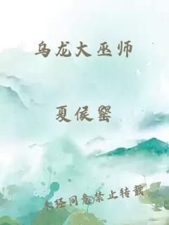 乌龙大巫师