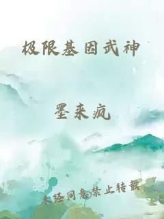 极限基因武神