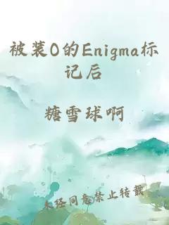 被装O的Enigma标记后