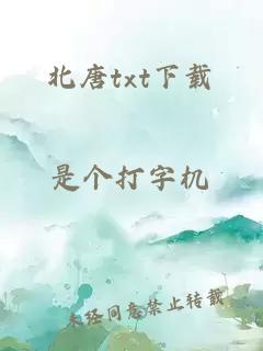 北唐txt下载