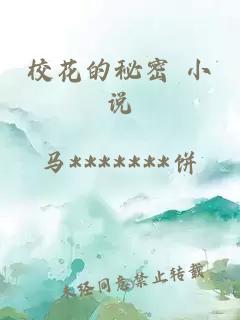 校花的秘密 小说