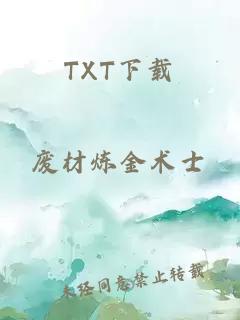 TXT下载