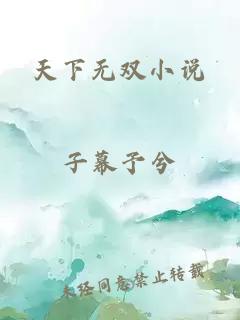 天下无双小说