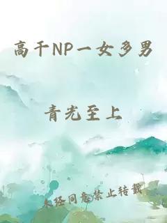 高干NP一女多男