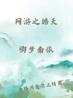 网游之皓天