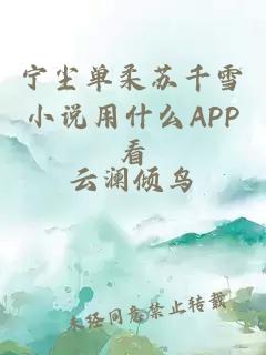 宁尘单柔苏千雪小说用什么APP看