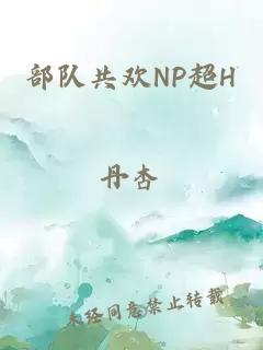 部队共欢NP超H