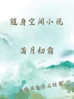 随身空间小说