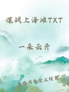 谍战上海滩TXT