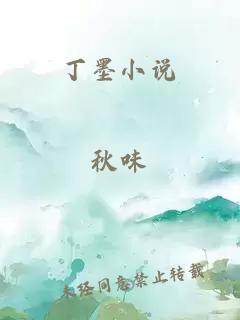 丁墨小说