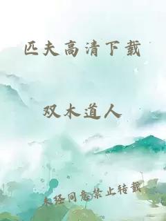 匹夫高清下载