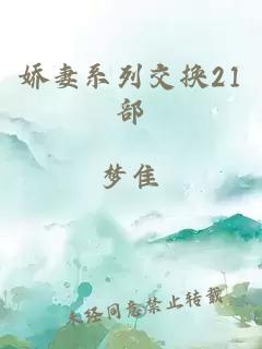 娇妻系列交换21部