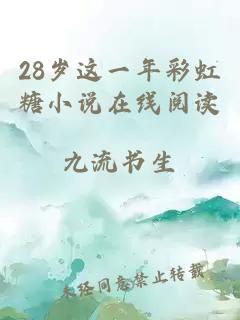 28岁这一年彩虹糖小说在线阅读