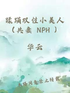 蹂躏双性小美人（共妻 NPH ）