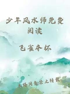 少年风水师免费阅读