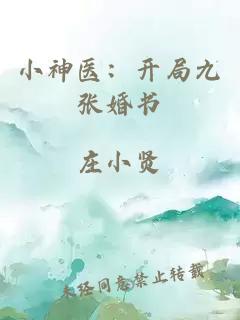 小神医：开局九张婚书