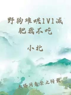 野狗难哄1V1减肥我不吃