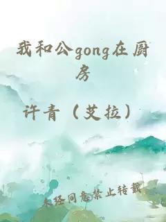 我和公gong在厨房