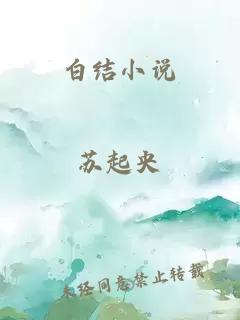 白结小说