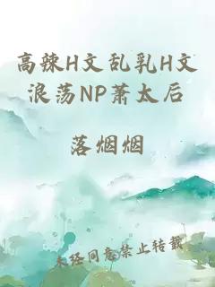 高辣H文乱乳H文浪荡NP萧太后