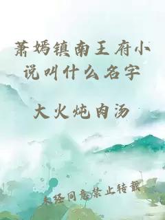 萧嫣镇南王府小说叫什么名字