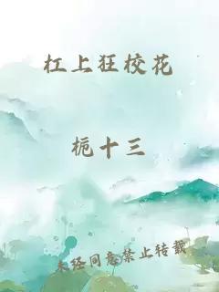 杠上狂校花